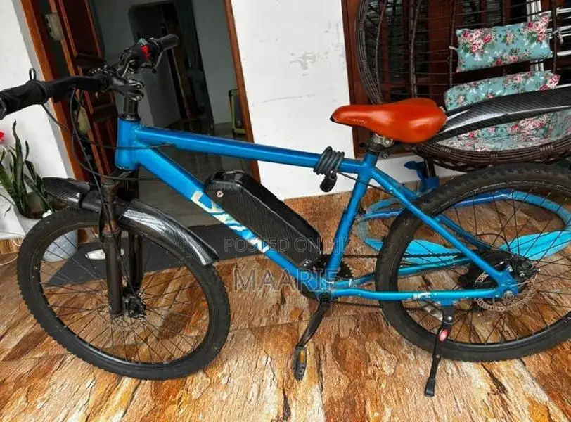 electric bicycle