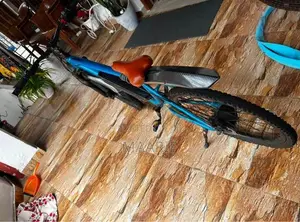 electric bicycle