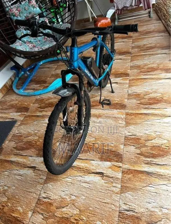 electric bicycle