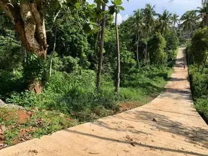 Land for Sale Gelioya