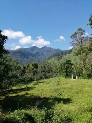 Land for Sale Nidangoda