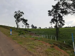 Land for Sale Nuwaraeliya