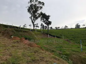 Land for Sale Nuwaraeliya