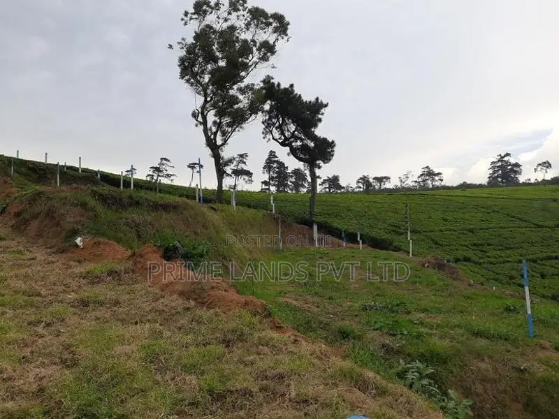 Land for Sale Nuwaraeliya
