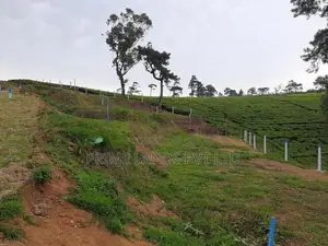 Land for Sale Nuwaraeliya