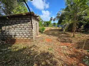 Land for Sale in Tellipalai