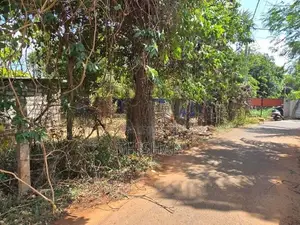 Land for Sale in Tellipalai