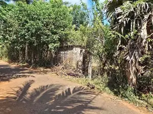 Land for Sale in Tellipalai
