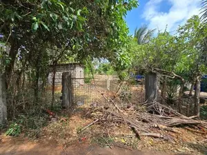 Land for Sale in Tellipalai