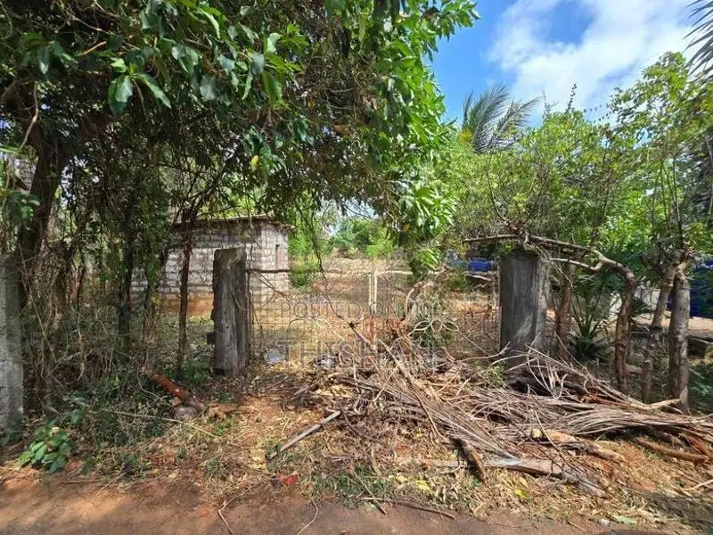 Land for Sale in Tellipalai