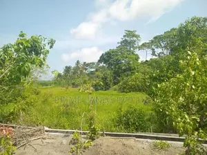 Lands for Sale in Ambalangoda City Limit