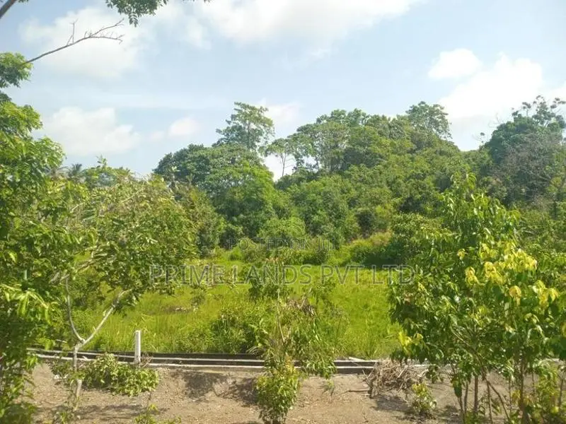 Lands for Sale in Ambalangoda City Limit