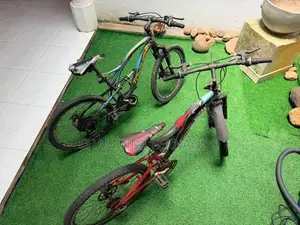 2 tomohawk bikes