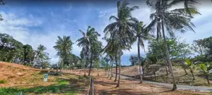 Lands for Sale in Matara