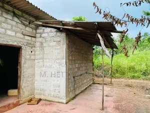 House for Sale - Gandara