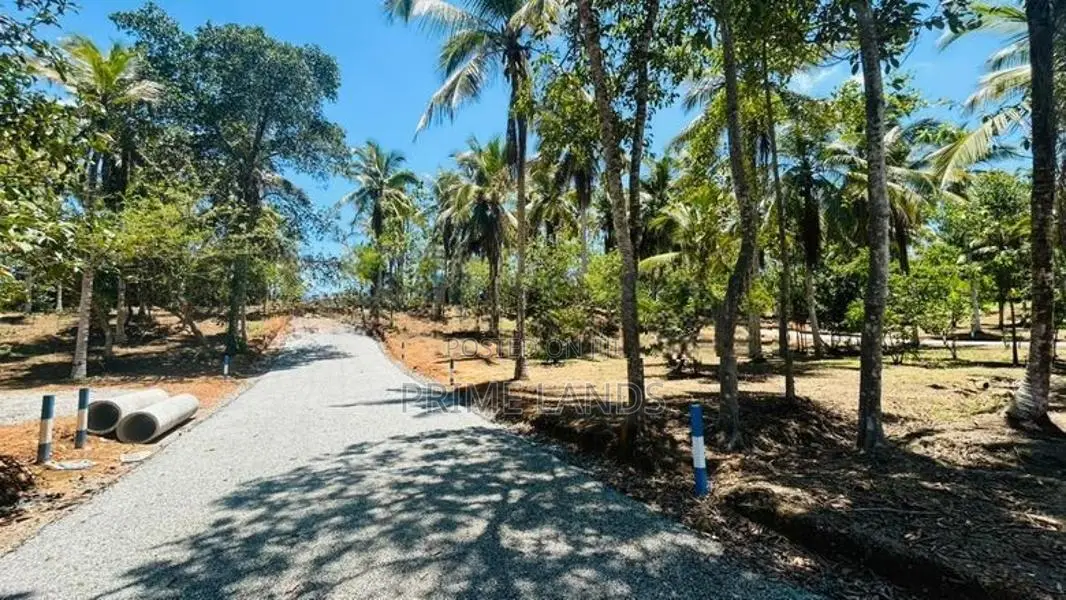 සියලු පහසුකම් සමගින් පදිංචියටත් වටිනා ඉඩම් කහතුඩුව