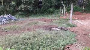 Land for Sale Near Galanigama