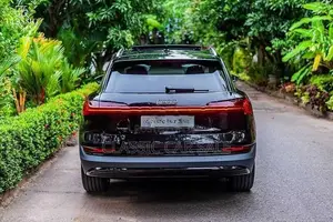 Audi e-tron 50 Quattro 2024