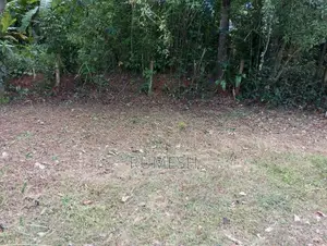 Land for Sale Near Galanigama