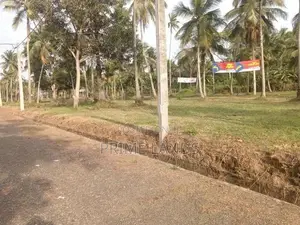 නාරම්මල සුපිරි නේවාසික බිම් කොටස් විකිණීමට