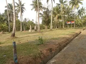 නාරම්මල සුපිරි නේවාසික බිම් කොටස් විකිණීමට