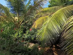 Land with House Sale - Kenniya