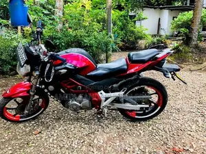 Demak DZM 2015