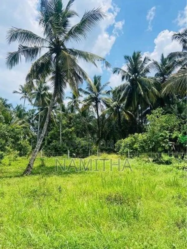 Valuable Land Sale High Level Road Godagama