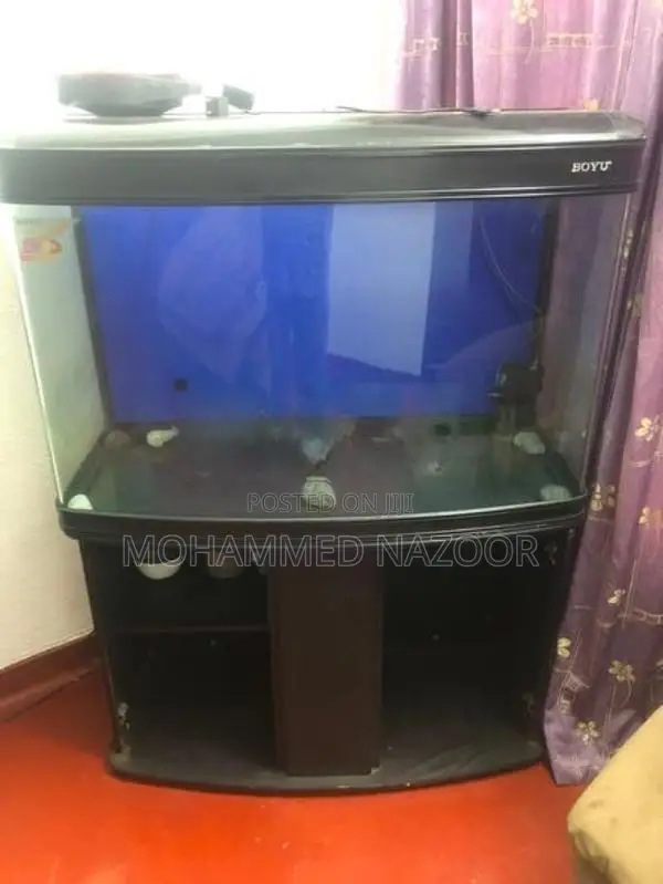Fish Tank