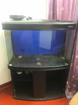 Fish Tank