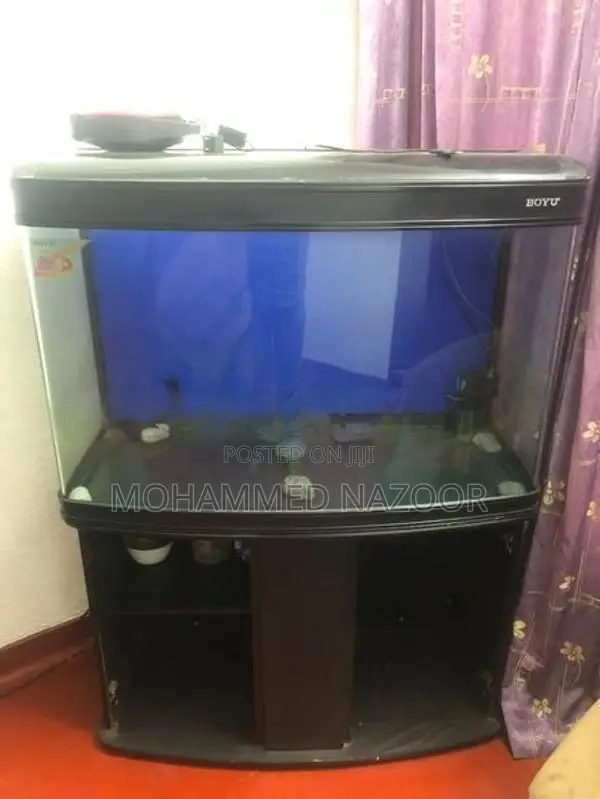 Fish Tank