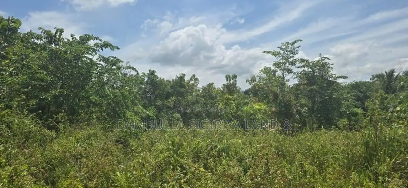 දඹුල්ලෙන් ඉඩමක් විකිණීමට - Land for sale in Dambulla