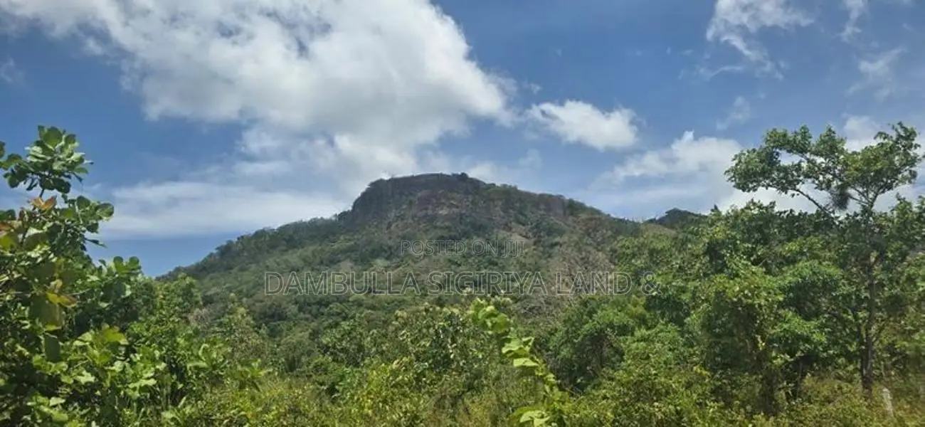 දඹුල්ලෙන් අනර්ග ඉඩමක් විකිණීමට - Land for Sale in Dambulla