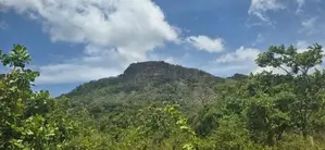 දඹුල්ලෙන් අනර්ග ඉඩමක් විකිණීමට - Land for Sale in Dambulla