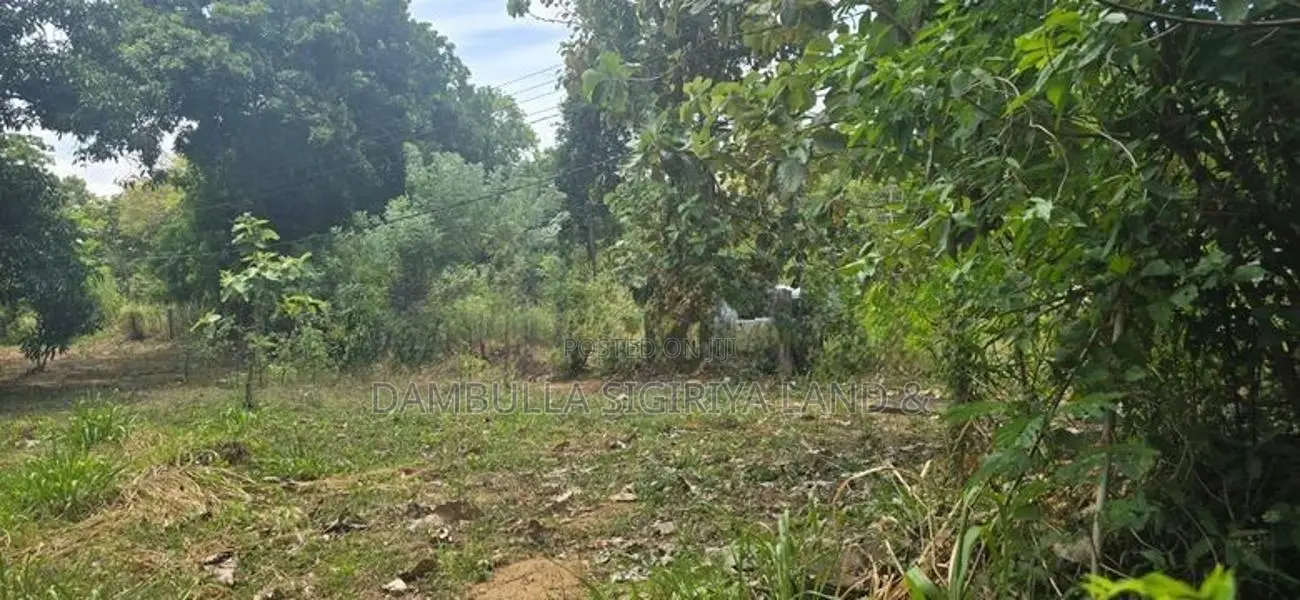 දඹුල්ලෙන් ඉඩමක් විකිණීමට - Land for Sale in Dambulla
