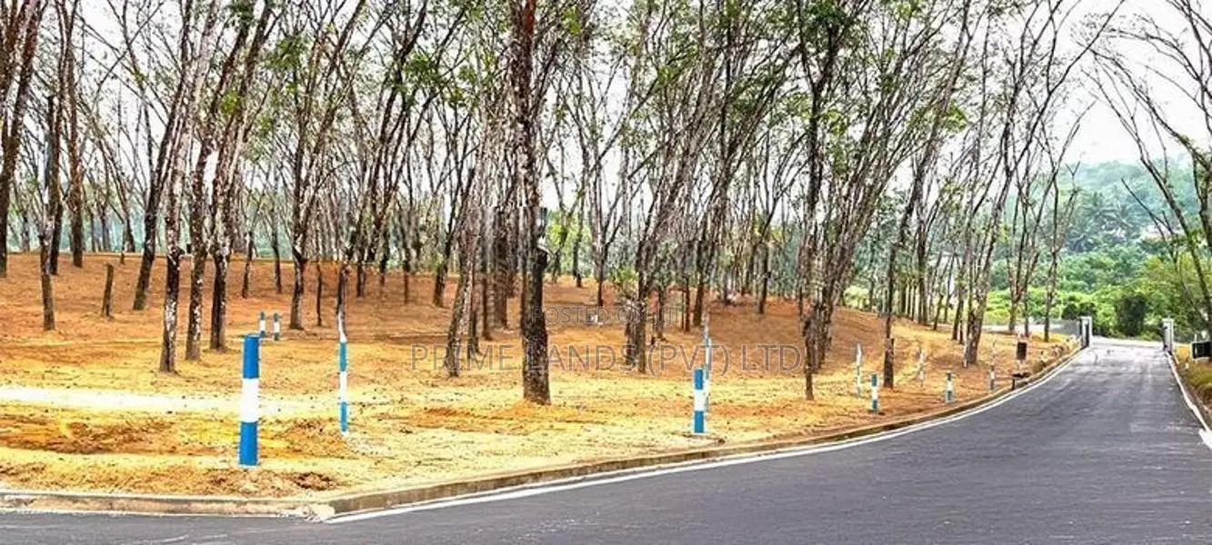 Meegoda Land for Sale-Beruketiya