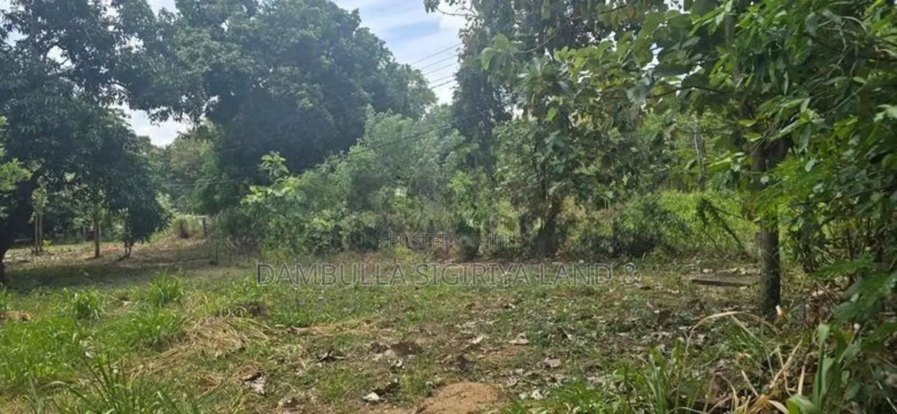 දඹුල්ලෙන් ඉඩමක් විකිණීමට - Land for Sale in Dambulla