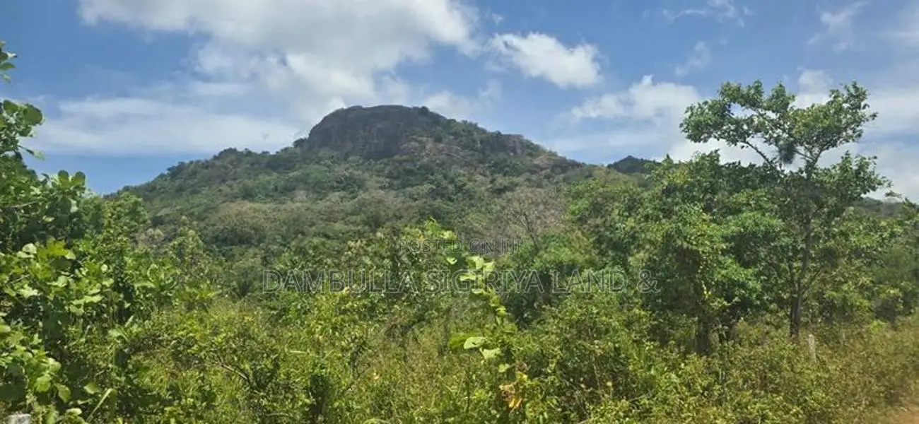 දඹුල්ලෙන් ඉඩමක් විකිණීමට - Land for sale in Dambulla