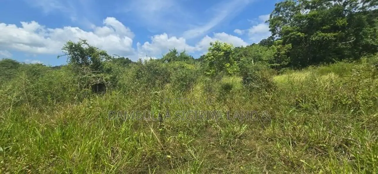 දඹුල්ල නුවර ප්‍රධාන මාර්ගයට සමීපයෙන් ඉඩමක් විකිණීමට-Land For Sale