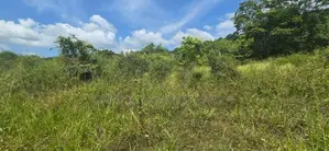 දඹුල්ල නුවර ප්‍රධාන මාර්ගයට සමීපයෙන් ඉඩමක් විකිණීමට-Land For Sale