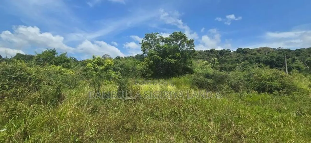දඹුල්ල නුවර ප්‍රධාන මාර්ගයට සමීපයෙන් ඉඩමක් විකිණීමට-Land For Sale