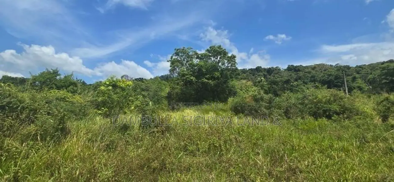 දඹුල්ල නුවර ප්‍රධාන මාර්ගයට සමීපයෙන් ඉඩමක් විකිණීමට-Land For Sale