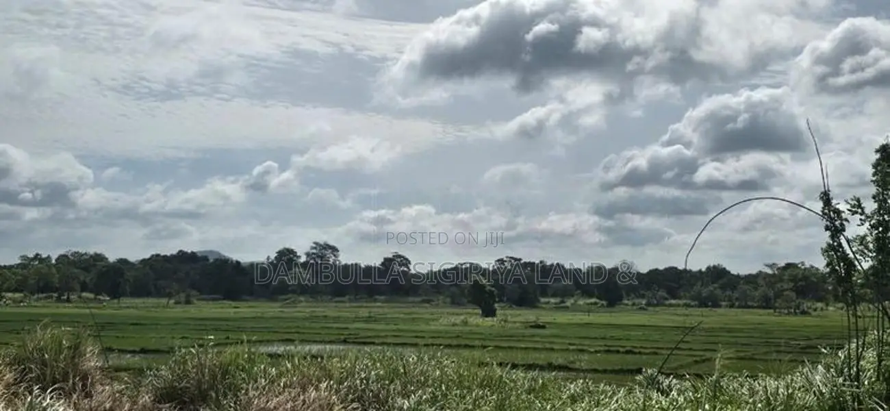 දඹුල්ලේන් අනර්ග ඉඩමක් විකිණීමට - Land for sale in Dambulla