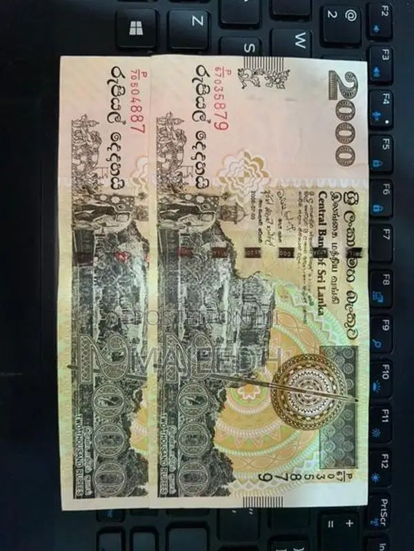 Old Notes
