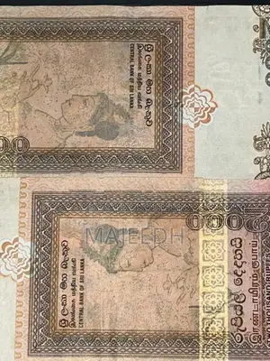 Old Notes