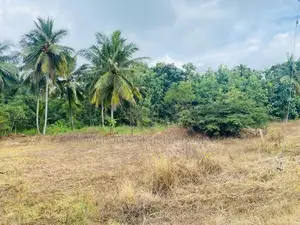 දඹුල්ලෙන් ඉඩමක් විකිණීමට - Land For Sale in Dambulla