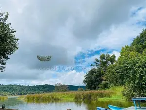 දඹුල්ලෙන් ඉඩමක් විකිණීමට - Land For Sale in Dambulla