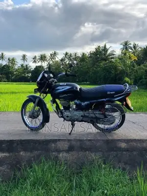 Bajaj CT100 2019