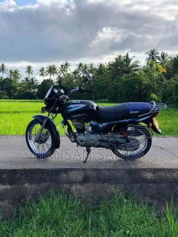 Bajaj CT100 2019
