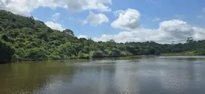 මනරම් වටපිටාවක් ඇති ඉඩම්ක් දඹුල්ලෙන් විකිණීමට - Land for sale inDambul